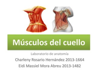 Músculos del cuello
Laboratorio de anatomía
Charleny Rosario Hernández 2013-1664
Eidi Massiel Mora Abreu 2013-1482
 