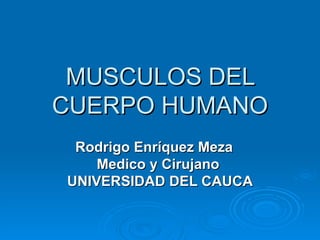 MUSCULOS DEL CUERPO HUMANO Rodrigo Enríquez Meza  Medico y Cirujano  UNIVERSIDAD DEL CAUCA 