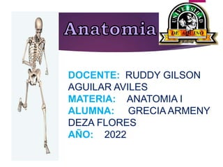 DOCENTE: RUDDY GILSON
AGUILAR AVILES
MATERIA: ANATOMIA I
ALUMNA: GRECIA ARMENY
DEZA FLORES
AÑO: 2022
 