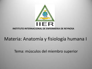 INSTITUTO INTERNACIONAL DE ENFERMERIA DE REYNOSA Materia: Anatomía y fisiología humana I Tema: músculos del miembro superior 