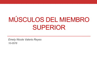 MÚSCULOS DEL MIEMBRO
     SUPERIOR
Emely Nicole Valerio Reyes
10-0578
 