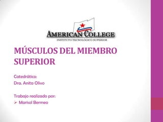 MÚSCULOS DEL MIEMBRO
SUPERIOR
Catedrático:
Dra. Anita Olivo
Trabajo realizado por:
 Marisol Bermeo
 