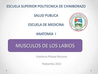 ESCUELA SUPERIOR POLITECNICA DE CHIMBORAZO
SALUD PUBLICA
ESCUELA DE MEDICINA
ANATOMIA I

MUSCULOS DE LOS LABIOS
Estefania Pilataxi Reinoso

Riobamba 2013

 