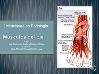 Licenciatura en Podologia


                  Autor:
  Dra. María del Socorro Mellado Ortega
                 Coautor:
    Mtra. Marisol Vargas Monterrosas
 