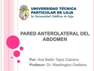 PARED ANTEROLATERAL DEL
        ABDOMEN



   Por: Ana Belén Tapia Cabrera
   Profesor: Dr. Washington Orellana
 