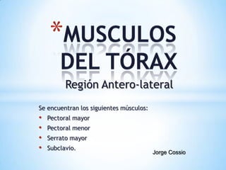 Región Antero-lateral
Se encuentran los siguientes músculos:

•
•
•
•

Pectoral mayor
Pectoral menor
Serrato mayor
Subclavio.

Jorge Cossio

 