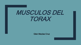 MUSCULOS DEL
TORAX
Glen Macías Cruz
 