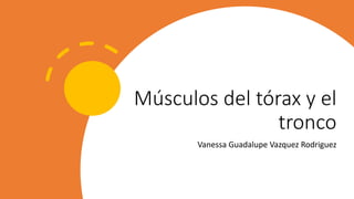 Músculos del tórax y el
tronco
Vanessa Guadalupe Vazquez Rodriguez
 