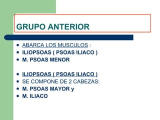 GRUPO ANTERIOR ABARCA LOS MUSCULOS  : ILIOPSOAS ( PSOAS ILIACO ) M. PSOAS MENOR ILIOPSOAS ( PSOAS ILIACO ) SE COMPONE DE 2 CABEZAS: M. PSOAS MAYOR y M. ILIACO 