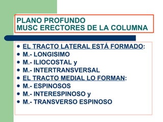 PLANO PROFUNDO MUSC ERECTORES DE LA COLUMNA EL TRACTO LATERAL ESTÁ FORMADO : M.- LONGISIMO M.- ILIOCOSTAL y M.- INTERTRANSVERSAL EL TRACTO MEDIAL LO FORMAN : M.- ESPINOSOS M.- INTERESPINOSO y M.- TRANSVERSO ESPINOSO 