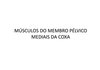 MÚSCULOS DO MEMBRO PÉLVICO
     MEDIAIS DA COXA
 