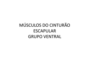 MÚSCULOS DO CINTURÃO
     ESCAPULAR
   GRUPO VENTRAL
 