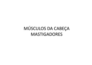 MÚSCULOS DA CABEÇA
  MASTIGADORES
 