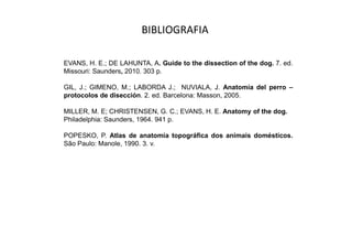 BIBLIOGRAFIA

EVANS, H. E.; DE LAHUNTA, A. Guide to the dissection of the dog. 7. ed.
Missouri: Saunders, 2010. 303 p.

GIL, J.; GIMENO, M.; LABORDA J.; NUVIALA, J. Anatomía del perro –
protocolos de disección. 2. ed. Barcelona: Masson, 2005.

MILLER, M. E; CHRISTENSEN, G. C.; EVANS, H. E. Anatomy of the dog.
Philadelphia: Saunders, 1964. 941 p.

POPESKO, P. Atlas de anatomia topográfica dos animais domésticos.
São Paulo: Manole, 1990. 3. v.
 