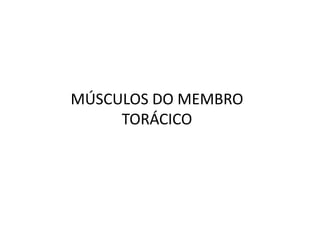 MÚSCULOS DO MEMBRO
     TORÁCICO
 