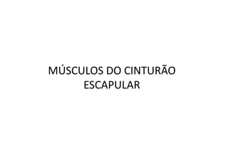 MÚSCULOS DO CINTURÃO
     ESCAPULAR
 