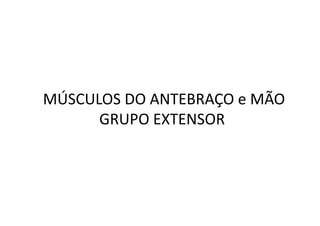 MÚSCULOS DO ANTEBRAÇO e MÃO
      GRUPO EXTENSOR
 
