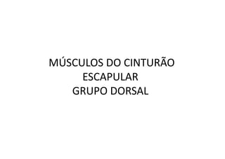 MÚSCULOS DO CINTURÃO
     ESCAPULAR
   GRUPO DORSAL
 