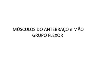 MÚSCULOS DO ANTEBRAÇO e MÃO
       GRUPO FLEXOR
 