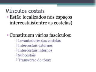 Músculos costais

• Estão localizados nos espaços
intercostais(entre as costelas)
• Constituem vários fascículos:
 Levantadores das costelas
 Intercostais externos
 Intercostais internos
 Subcostais
 Transverso do tórax

 