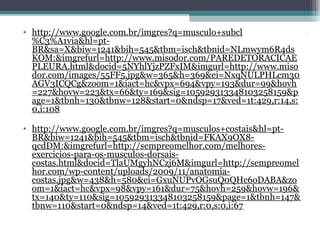 • http://www.google.com.br/imgres?q=musculos+costais&hl=ptBR&biw=1241&bih=545&tbm=isch&tbnid=FKAX9OX8qcdDM:&imgrefurl=http://sempreomelhor.com/melhoresexercicios-para-os-musculos-dorsaiscostas.html&docid=TlaUMgyhNCzj6M&imgurl=http://sempreomel
hor.com/wp-content/uploads/2009/11/anatomiacostas.jpg&w=438&h=580&ei=GxuNUPvOGsuQ0QHc6oDABA&zo
om=1&iact=hc&vpx=98&vpy=161&dur=75&hovh=259&hovw=196&
tx=140&ty=110&sig=105929313348103258159&page=1&tbnh=147&
tbnw=110&start=0&ndsp=14&ved=1t:429,r:0,s:0,i:67

.

• http://www.google.com.br/imgres?q=musculo+subcl
%C3%A1via&hl=ptBR&sa=X&biw=1241&bih=545&tbm=isch&tbnid=NLmwym6R4ds
KOM:&imgrefurl=http://www.misodor.com/PAREDETORACICAE
PLEURA.html&docid=5NYhlYjzPZFxIM&imgurl=http://www.miso
dor.com/images/55FF5.jpg&w=365&h=369&ei=NxqNULPHLcm30
AGV3ICQCg&zoom=1&iact=hc&vpx=694&vpy=193&dur=99&hovh
=227&hovw=223&tx=66&ty=169&sig=105929313348103258159&p
age=1&tbnh=130&tbnw=128&start=0&ndsp=17&ved=1t:429,r:14,s:
0,i:108

 