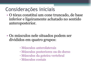 Considerações iniciais

 