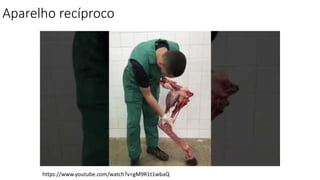 Aparelho recíproco
https://www.youtube.com/watch?v=gM9R1t1wbaQ
 