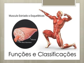 Funções e Classificações
 