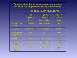 Características das fibras musculares esqueléticas baseadas nas propriedades físicas e metabólicas  TIPO DE FIBRA MUSCULAR Tipo I contração lenta  Tipo IIB contração intermediária Tipo IIA contração rápida  diâmetro da fibra musc. pequeno intermediário grande cor vermelha esc vermelha branca conteúdo de mioglobina alto alto baixo mitocôndrias numerosas numerosas poucas veloc. de contração lenta intermediária rápida veloc. de fadiga lenta intermediária rápida 