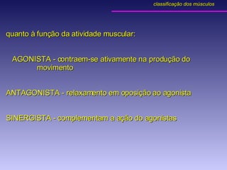 quanto à função da atividade muscular: AGONISTA - contraem-se ativamente na produção do    movimento ANTAGONISTA - relaxamento em oposição ao agonista SINERGISTA - complementam a ação do agonistas classificação dos músculos 