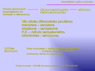 SISTEMA   fibras musculares + tecidos conjuntivos associados MUSCULAR   (unidade, irrigação e inervação)   movimento, forma do corpo e calor TECIDO MUSCULAR (especializados em  contração e relaxamento)  CÉLULAS MUSCULARES  MÚSCULO FIBRAS MUSCULARES São células diferenciadas peculiares: membrana – sarcolema citoplasma  - sarcoplasma   R.E. – retículo sarcoplasmático mitocôndrias - sarcosomas  Tecido muscular – 40-60% da massa corporal - + de 600 músculos Generalidades sobre os músculos 