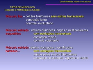 TIPOS DE MÚSCULOS (segundo a morfologia e a função) Músculo liso  – células fusiformes  sem estrias transversais   contração lenta   controle involuntário Músculo estriado – células cilíndricas longas e multinucleares esquelético   com estriações transversais contração rápida controle voluntário Músculo estriado  células alongadas e ramificadas  cardíaco –  com estriações transversais unidas pelos discos intercalares contração involuntária, vigorosa e rápida Generalidades sobre os músculos 