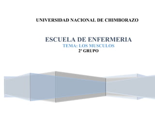 UNIVERSIDAD NACIONAL DE CHIMBORAZO
ESCUELA DE ENFERMERIA
TEMA: LOS MUSCULOS
2º GRUPO
 