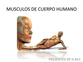 MUSCULOS DE CUERPO HUMANO
PRESENTED BY H.M.C
 