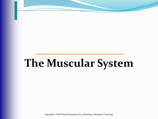 Copyright © 2003 Pearson Education, Inc. publishing as Benjamin Cummings
The Muscular System
 
