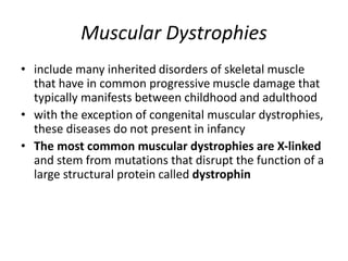 Muscular Dystrophies
• include many inherited disorders of skeletal muscle
that have in common progressive muscle damage that
typically manifests between childhood and adulthood
• with the exception of congenital muscular dystrophies,
these diseases do not present in infancy
• The most common muscular dystrophies are X-linked
and stem from mutations that disrupt the function of a
large structural protein called dystrophin
 