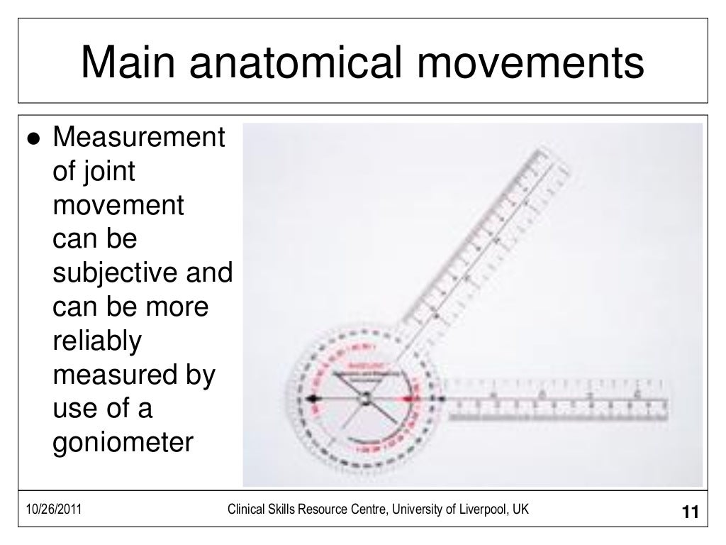 Musculoskeletal Exam