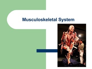 Musculoskeletal System
 