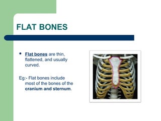 musculoskeletal-system-1000206665862676641-3.ppt