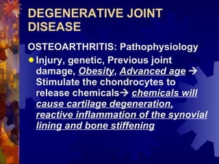 DEGENERATIVE JOINT DISEASE OSTEOARTHRITIS: Pathophysiology Injury, genetic, Previous joint damage,  Obesity ,  Advanced age     Stimulate the chondrocytes to release chemicals    chemicals will cause cartilage degeneration, reactive inflammation of the synovial lining and bone stiffening 