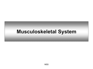 Musculoskeletal System
MSS
 