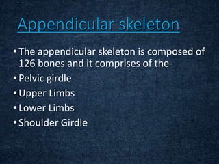 Appendicular skeleton
• The appendicular skeleton is composed of
126 bones and it comprises of the-
• Pelvic girdle
• Upper Limbs
• Lower Limbs
• Shoulder Girdle
 