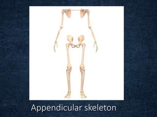 Appendicular skeleton
 