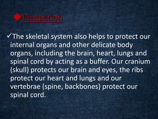 Protection
The skeletal system also helps to protect our
internal organs and other delicate body
organs, including the brain, heart, lungs and
spinal cord by acting as a buffer. Our cranium
(skull) protects our brain and eyes, the ribs
protect our heart and lungs and our
vertebrae (spine, backbones) protect our
spinal cord.
 