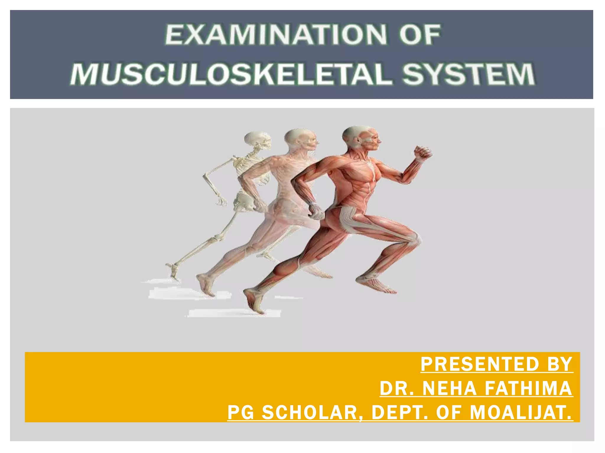 Musculoskeletal 20system Pptx