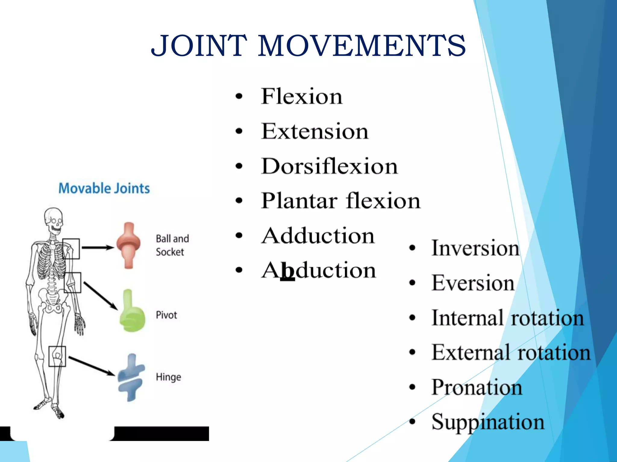 Musculoskeletal assessment | PPTX