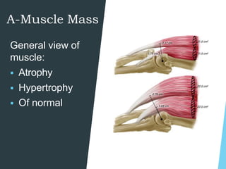 Musculoskeletal assessment | PPTX