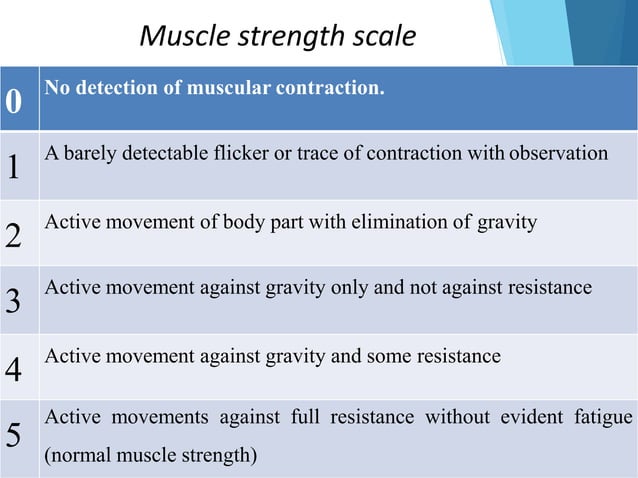 Musclularity Scale Musculoskeletal assessment | PPTX