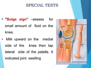 Musculoskeletal assessment | PPTX