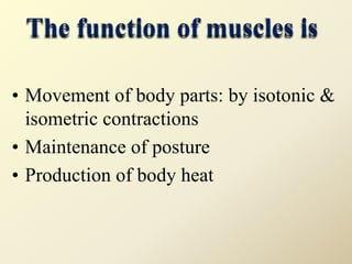 The function of muscles is
• Movement of body parts: by isotonic &
isometric contractions
• Maintenance of posture
• Production of body heat
 